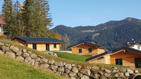 Alpenflair-Chalets-Balderschwang